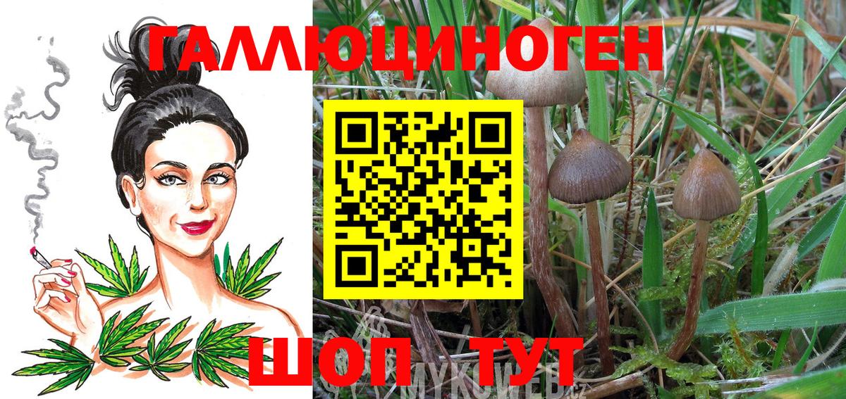 Псилоцибиновые грибы Magic Shrooms  Вход с VPN  Михайловск 